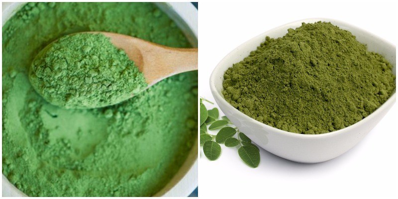 MORINGA: LA PLANTA MILAGROSA PARA CURAR ENFERMEDADES